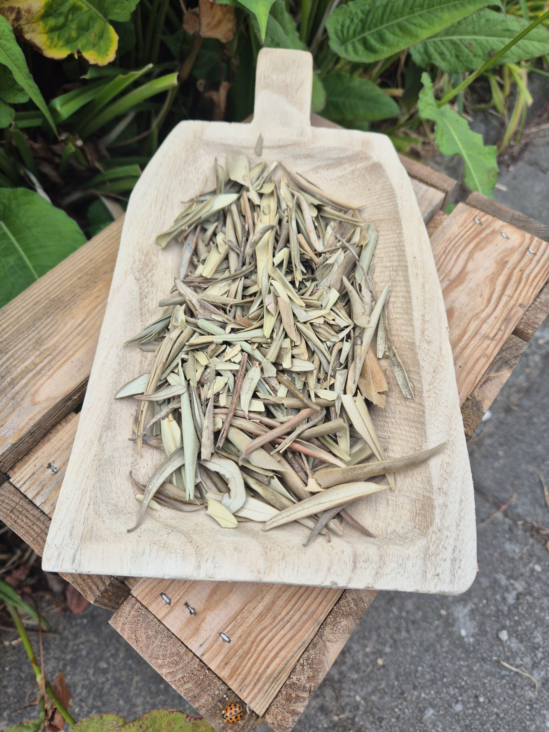 Snackbox september - Afbeelding 2