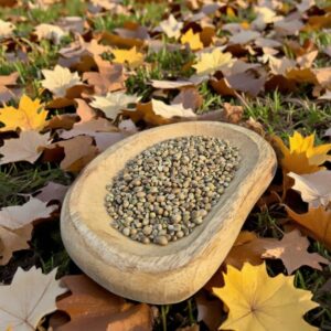 Snackbox November (nieuw)