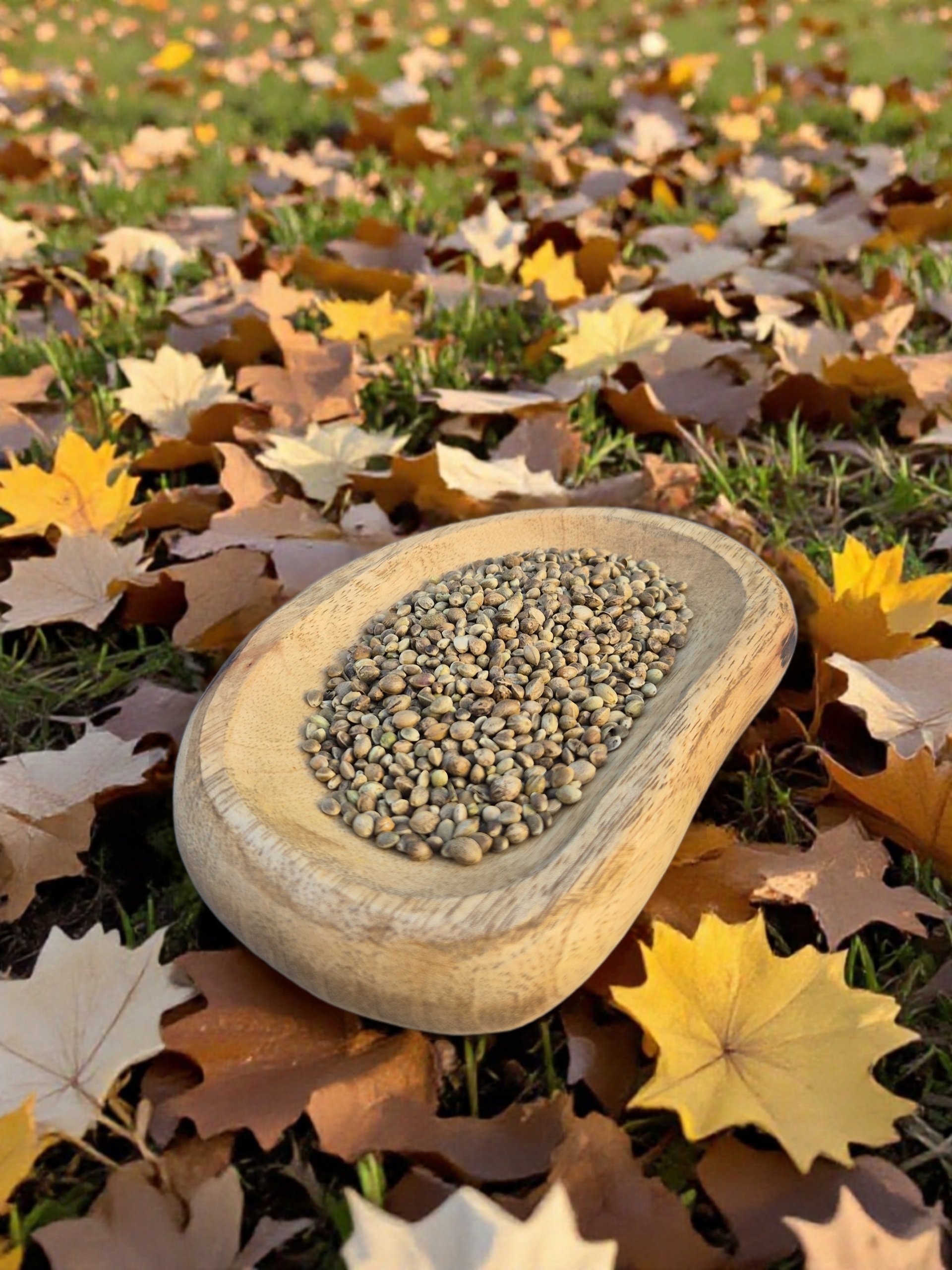 Snackbox November (nieuw)