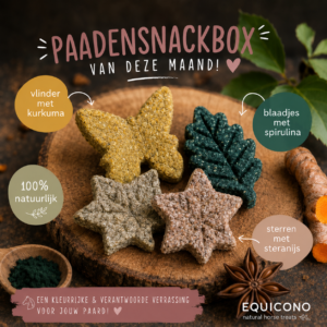 Snackbox Juni (nieuw)