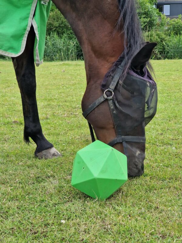 speelbal voor paarden